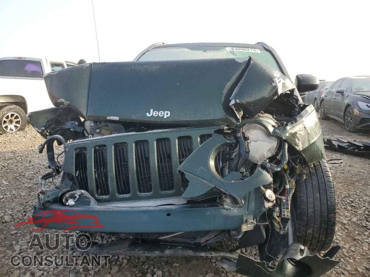 JEEP COMPASS 2010 - 1J4NF1FB4AD629252