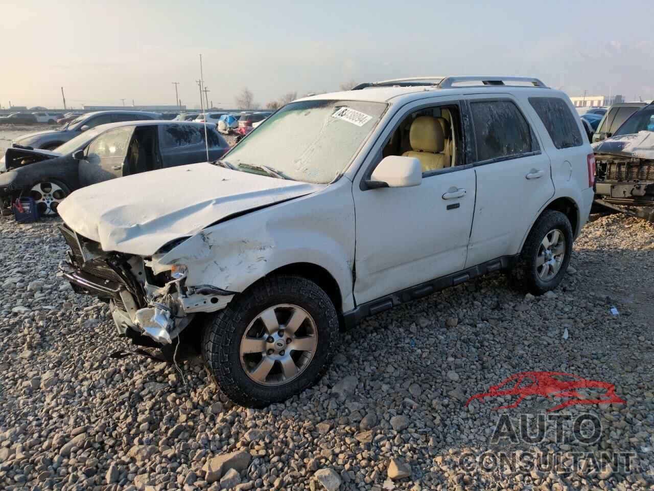 FORD ESCAPE 2011 - 1FMCU9EGXBKC13729