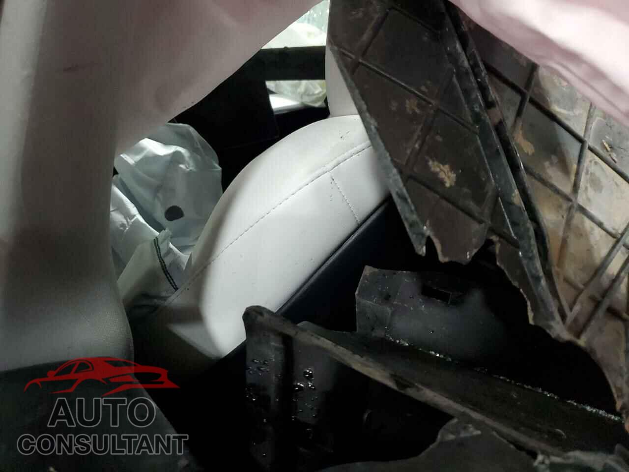 TESLA MODEL Y 2023 - 7SAYGDEE8PF874475