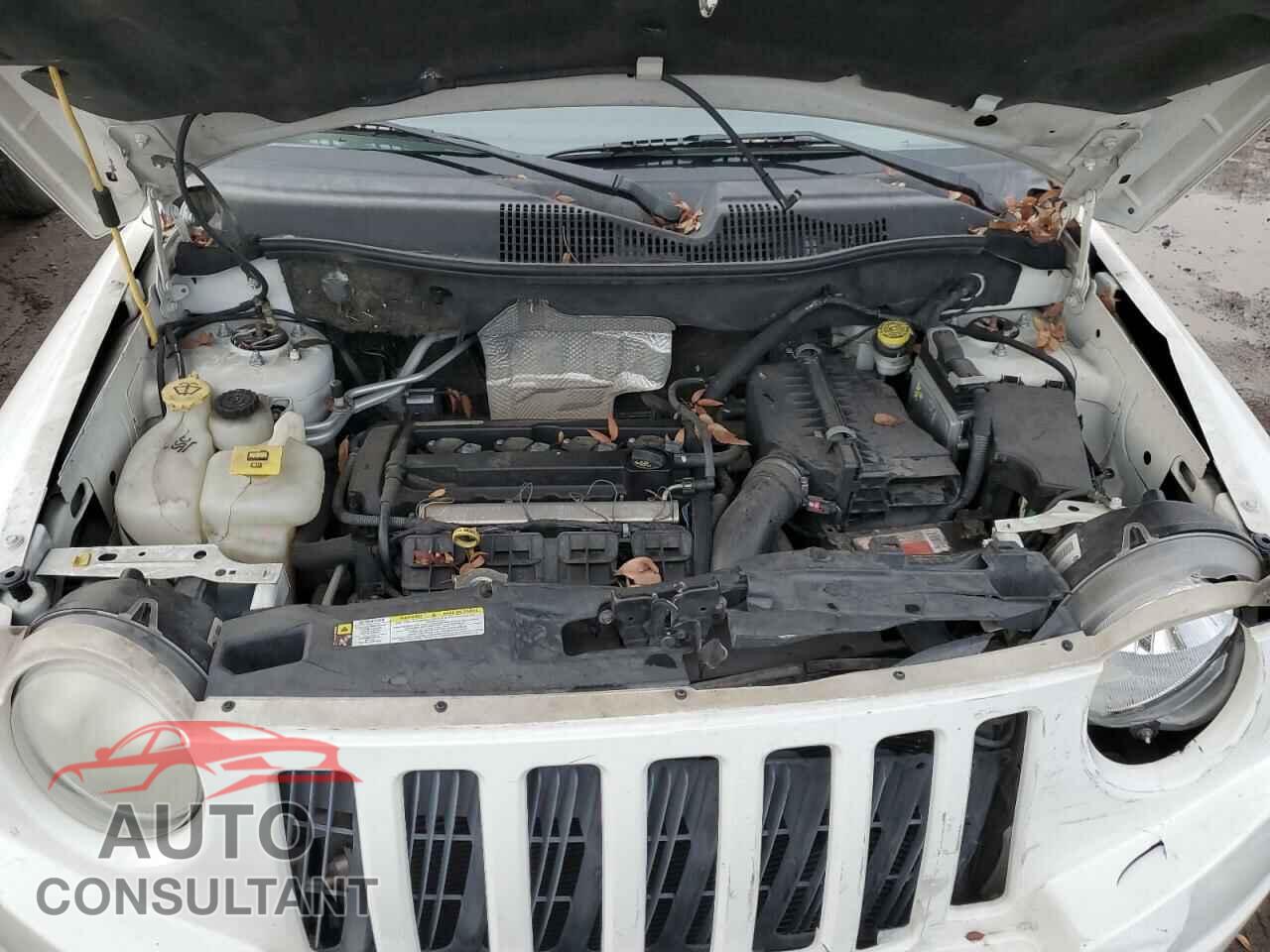 JEEP COMPASS 2009 - 1J4FT47B09D110532