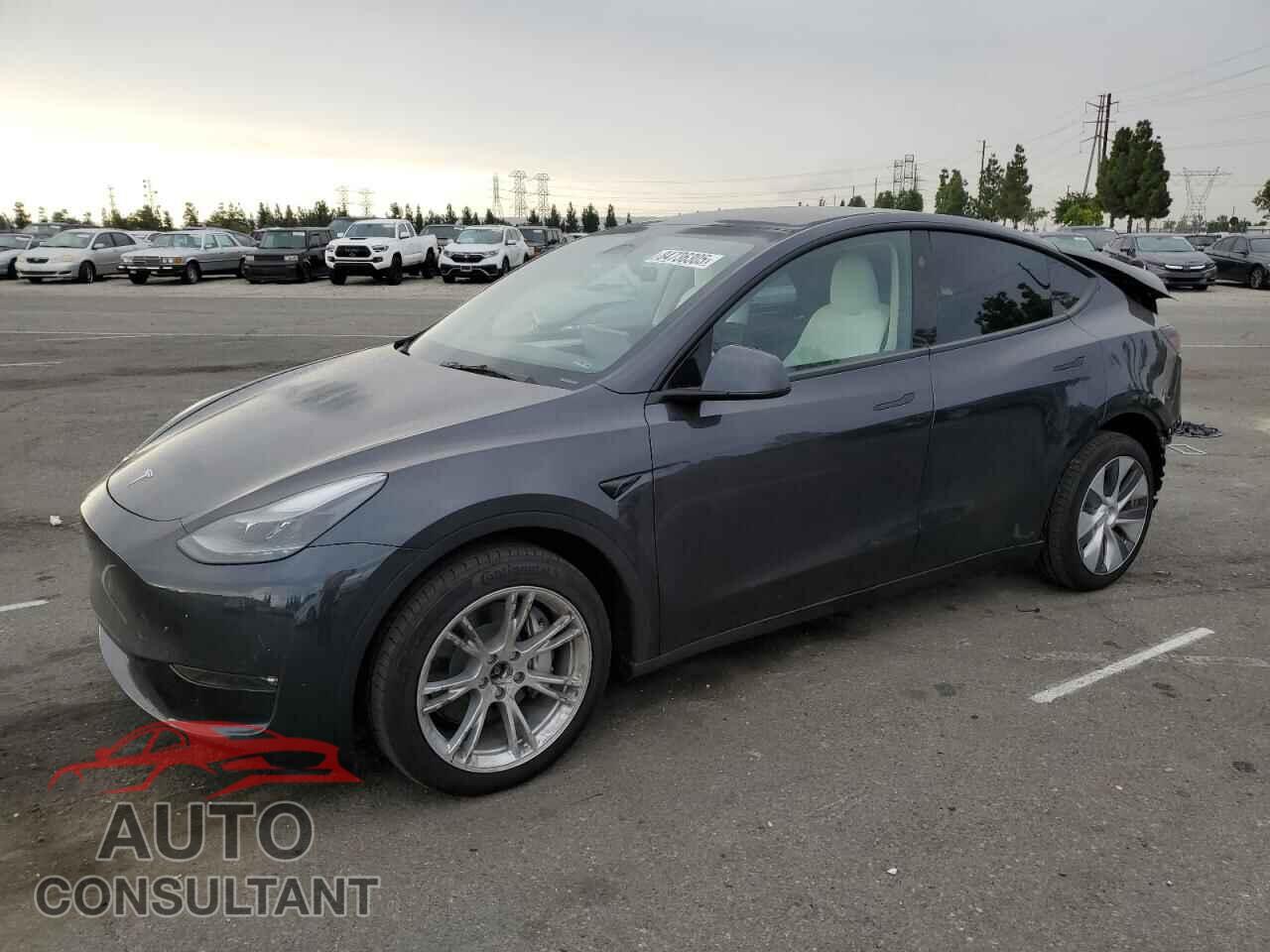 TESLA MODEL Y 2024 - 7SAYGAEE7RF020109