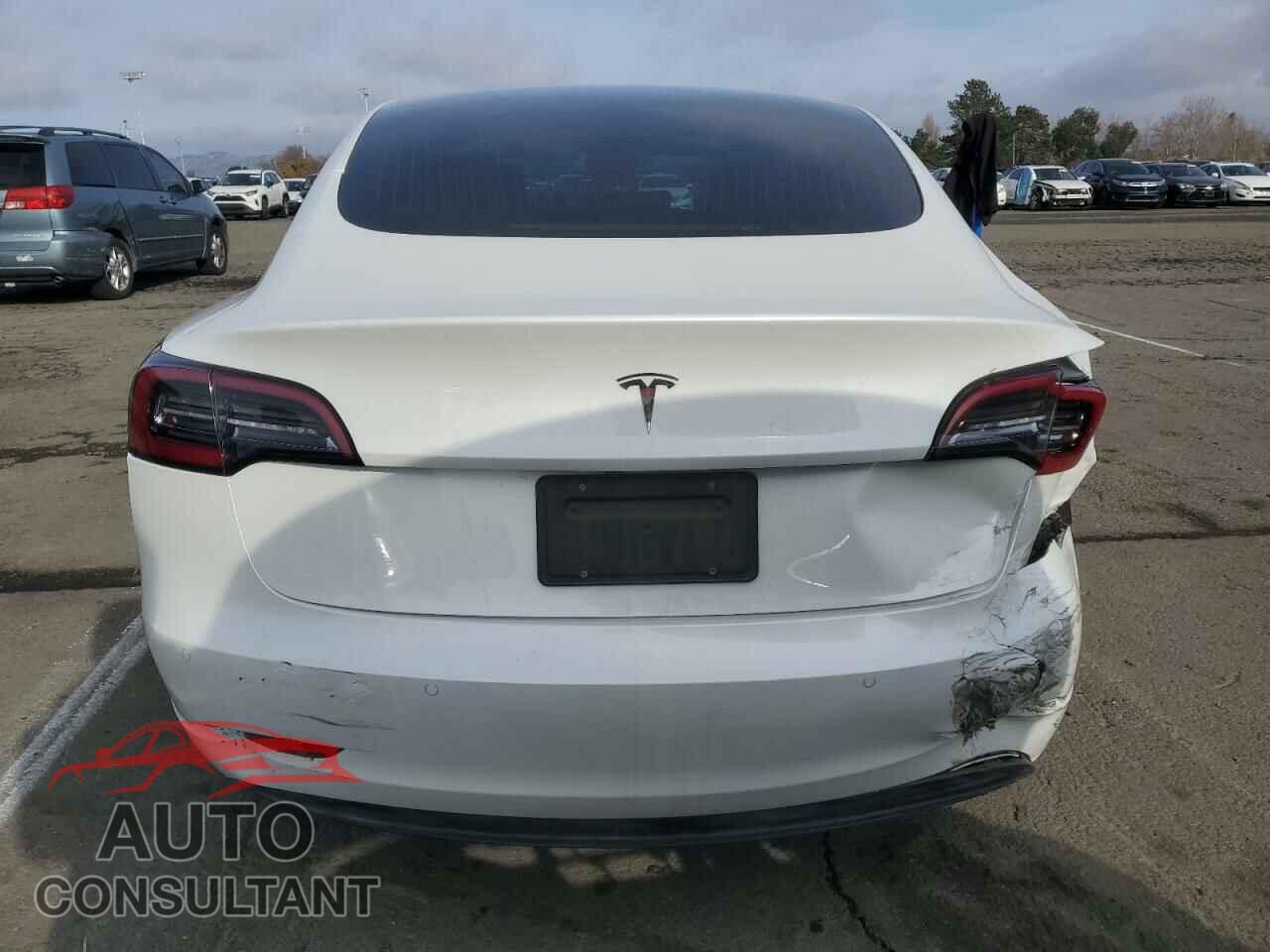 TESLA MODEL 3 2020 - 5YJ3E1EA9LF614802