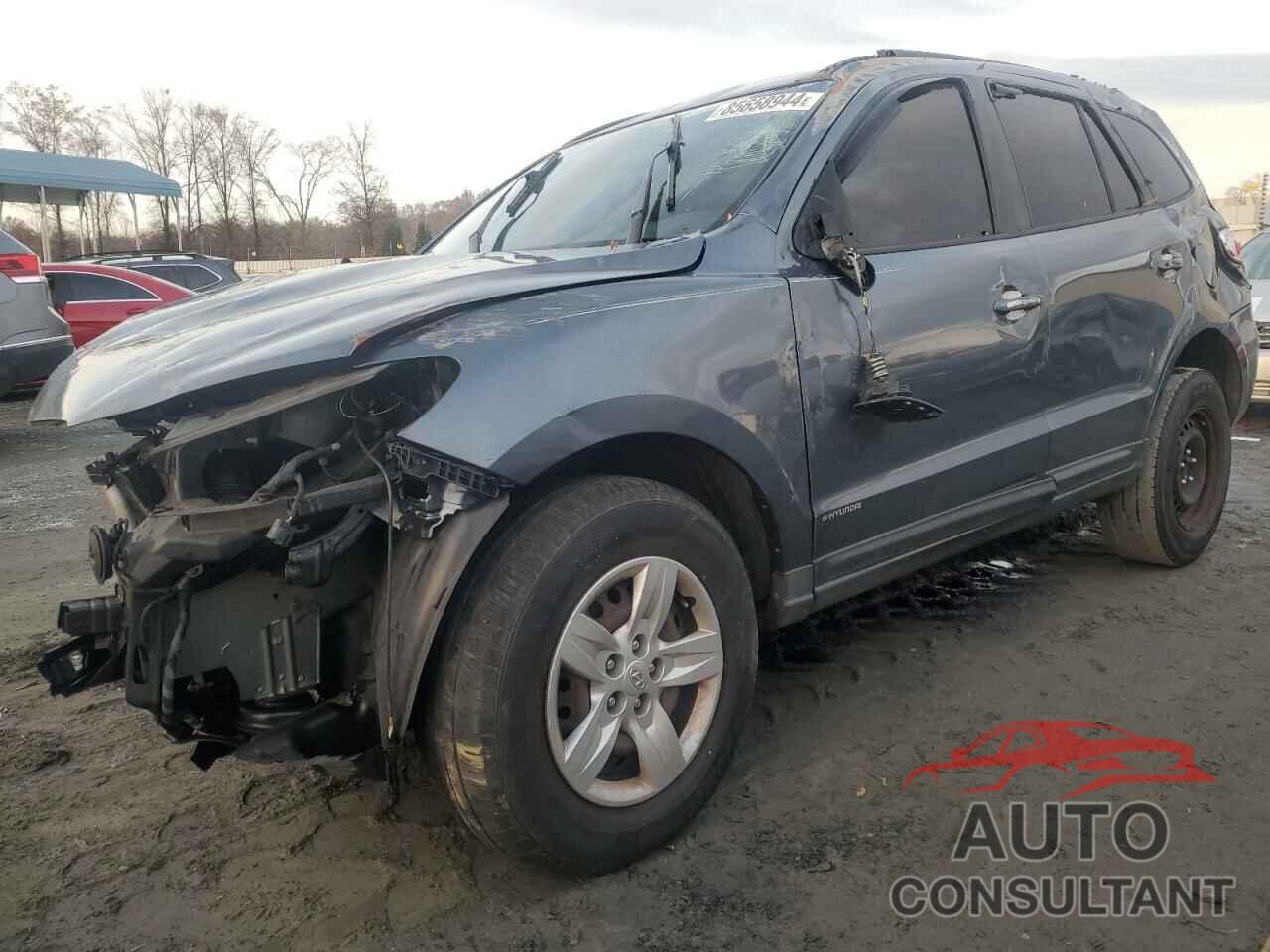 HYUNDAI SANTA FE 2009 - 5NMSG13D09H282422
