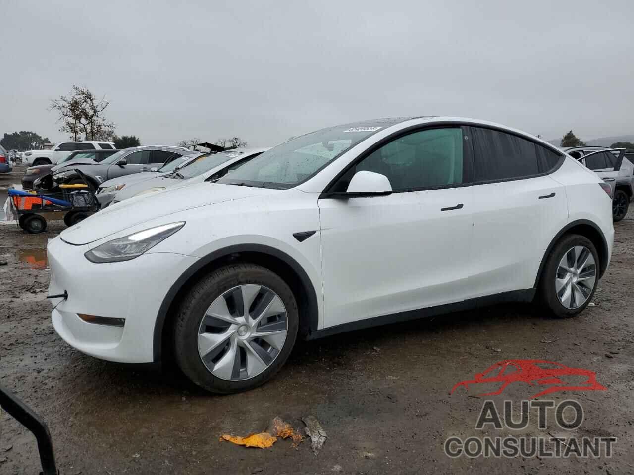 TESLA MODEL Y 2021 - 5YJYGDEE7MF295647