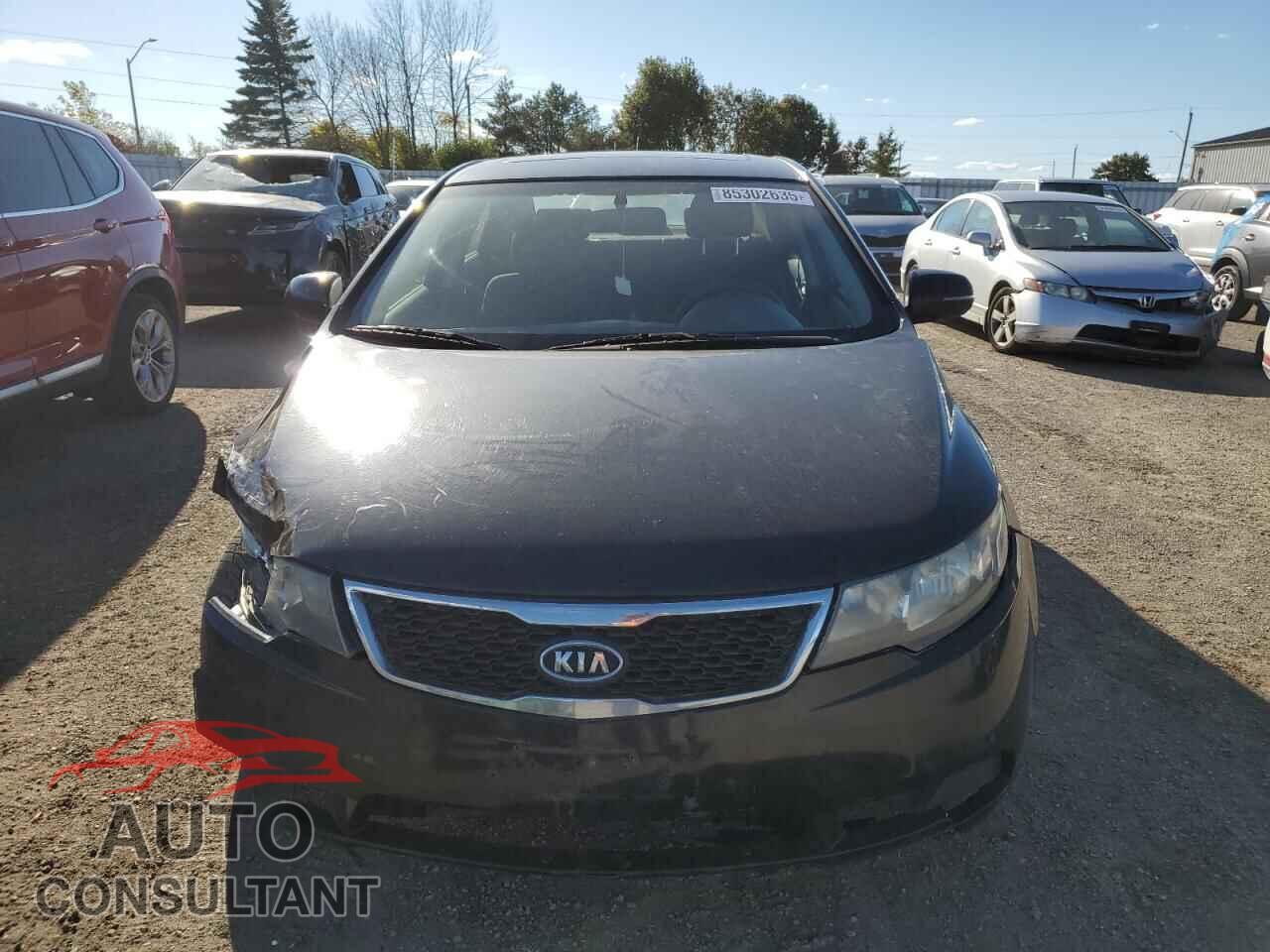 KIA FORTE 2013 - KNAFU4A29D5683263