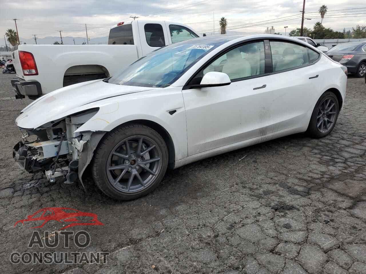 TESLA MODEL 3 2021 - 5YJ3E1EB9MF876359