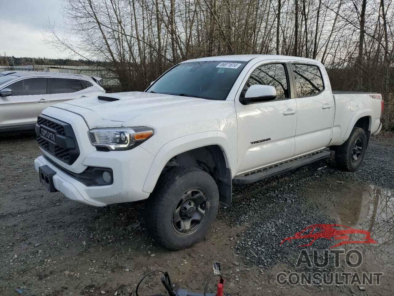TOYOTA TACOMA 2019 - 5TFDZ5BN9KX042092