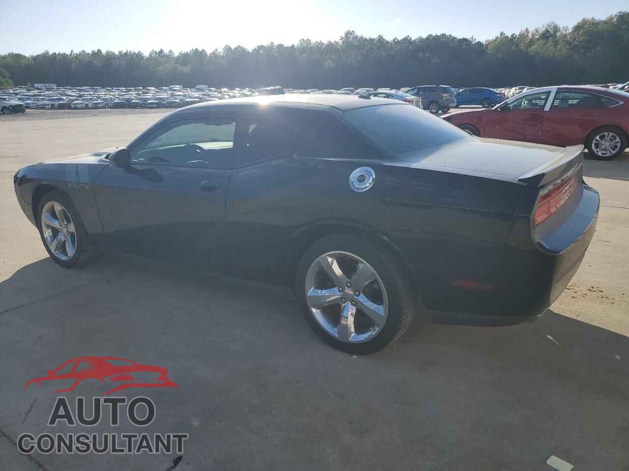 DODGE CHALLENGER 2013 - 2C3CDYBT3DH524241