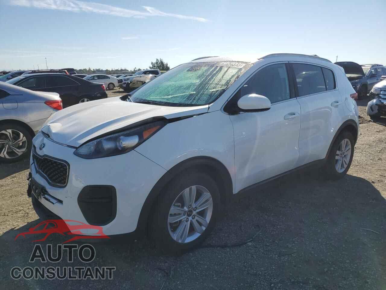 KIA SPORTAGE 2017 - KNDPM3AC4H7241642