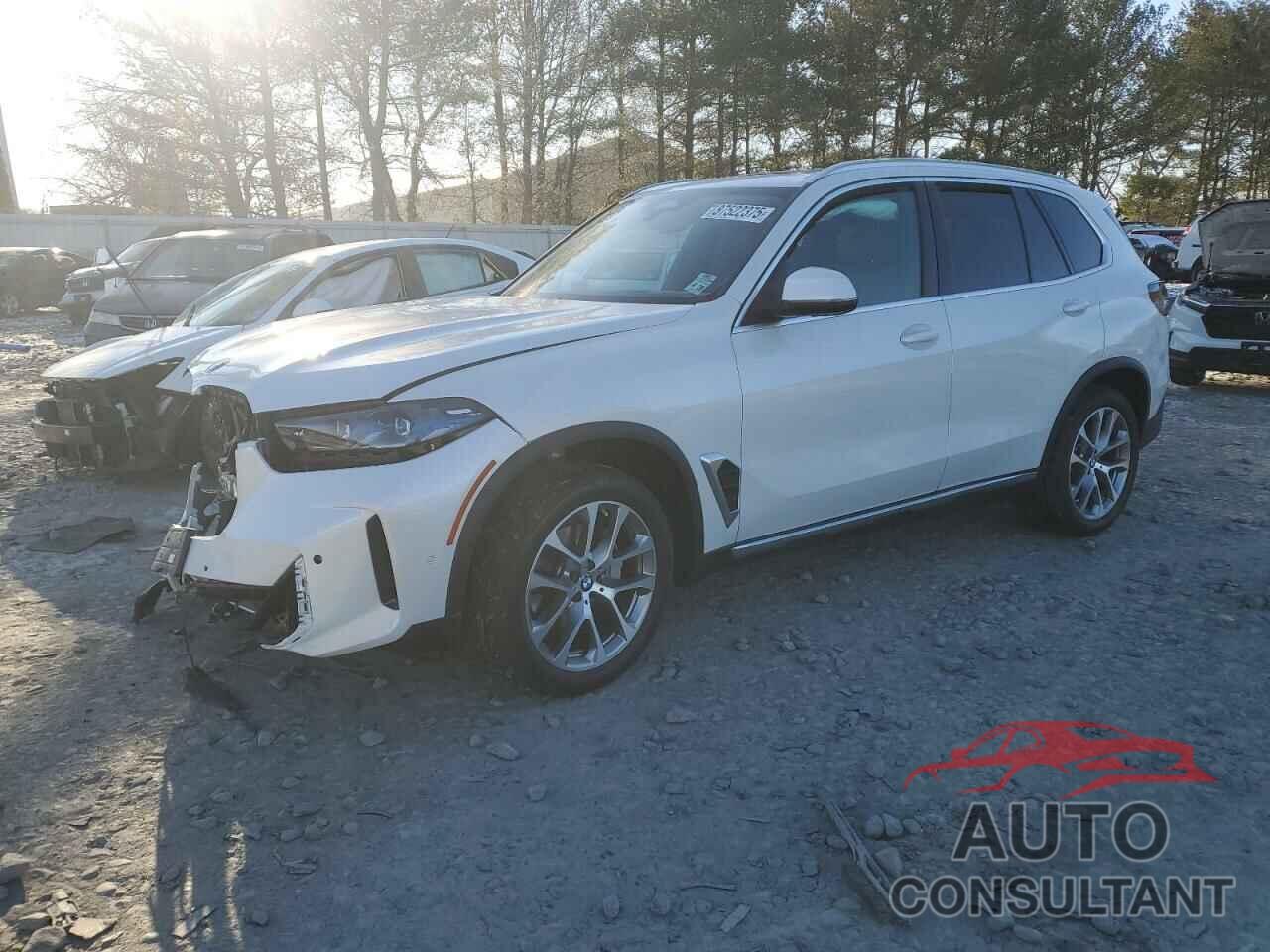 BMW X5 2024 - 5UX23EU01R9V43436