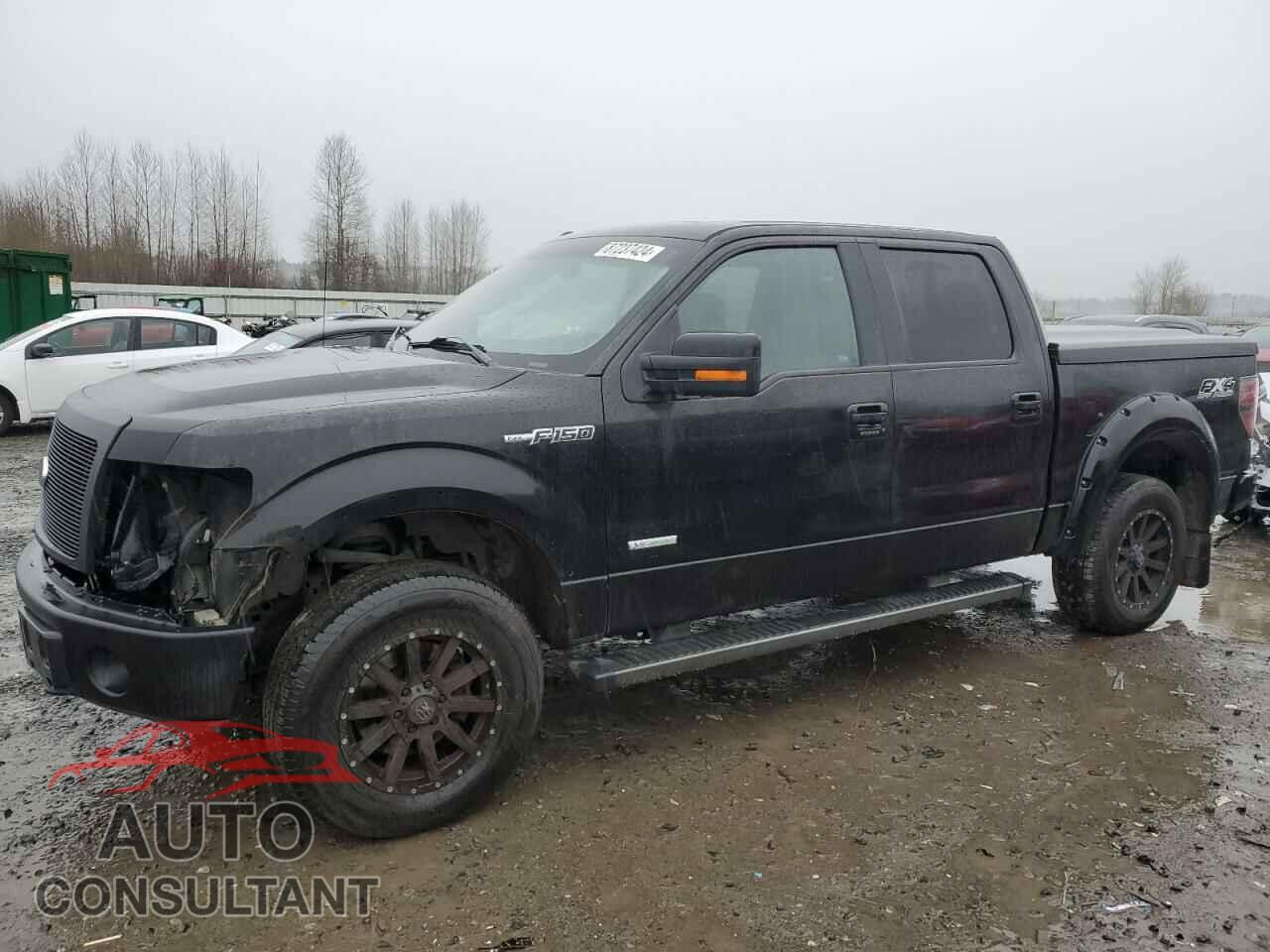 FORD F-150 2014 - 1FTFW1ET3EKF65260