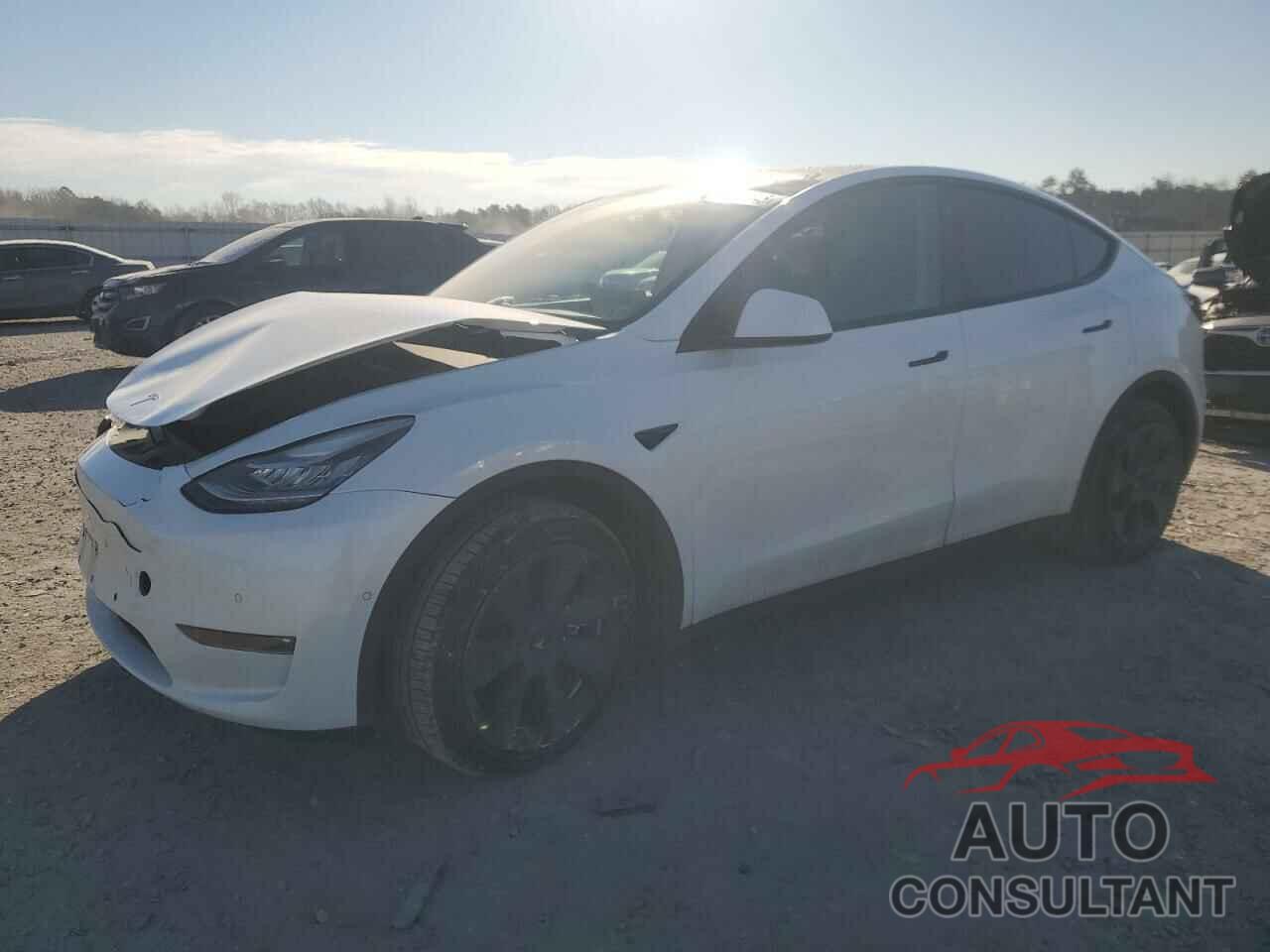 TESLA MODEL Y 2021 - 5YJYGDEE3MF299047