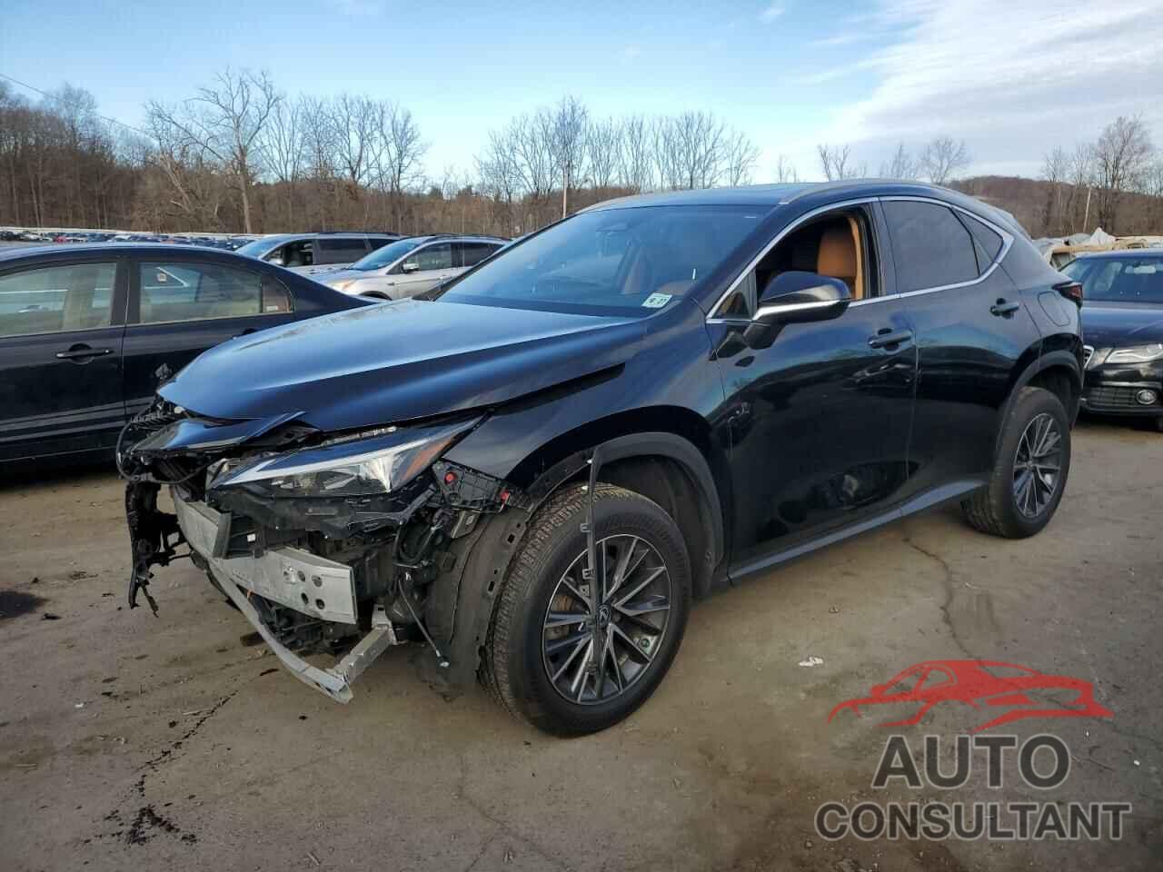 LEXUS NX 350 2022 - 2T2AGCEZ7NC003608