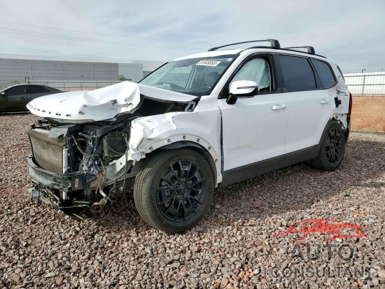 KIA TELLURIDE 2021 - 5XYP5DHC8MG119517