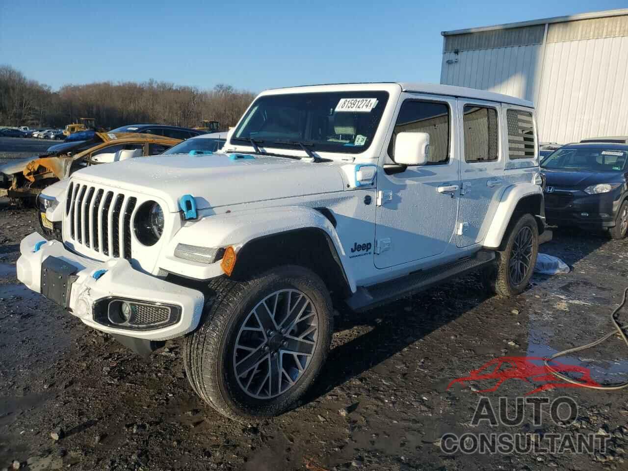 JEEP WRANGLER 2023 - 1C4JJXP66PW555045