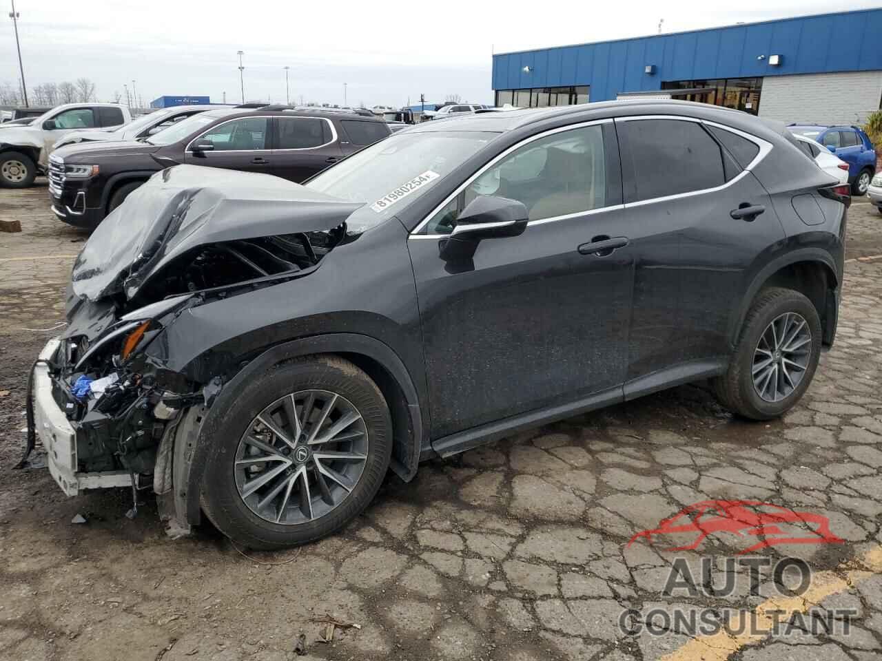 LEXUS NX 350 2023 - 2T2GGCEZXPC030914