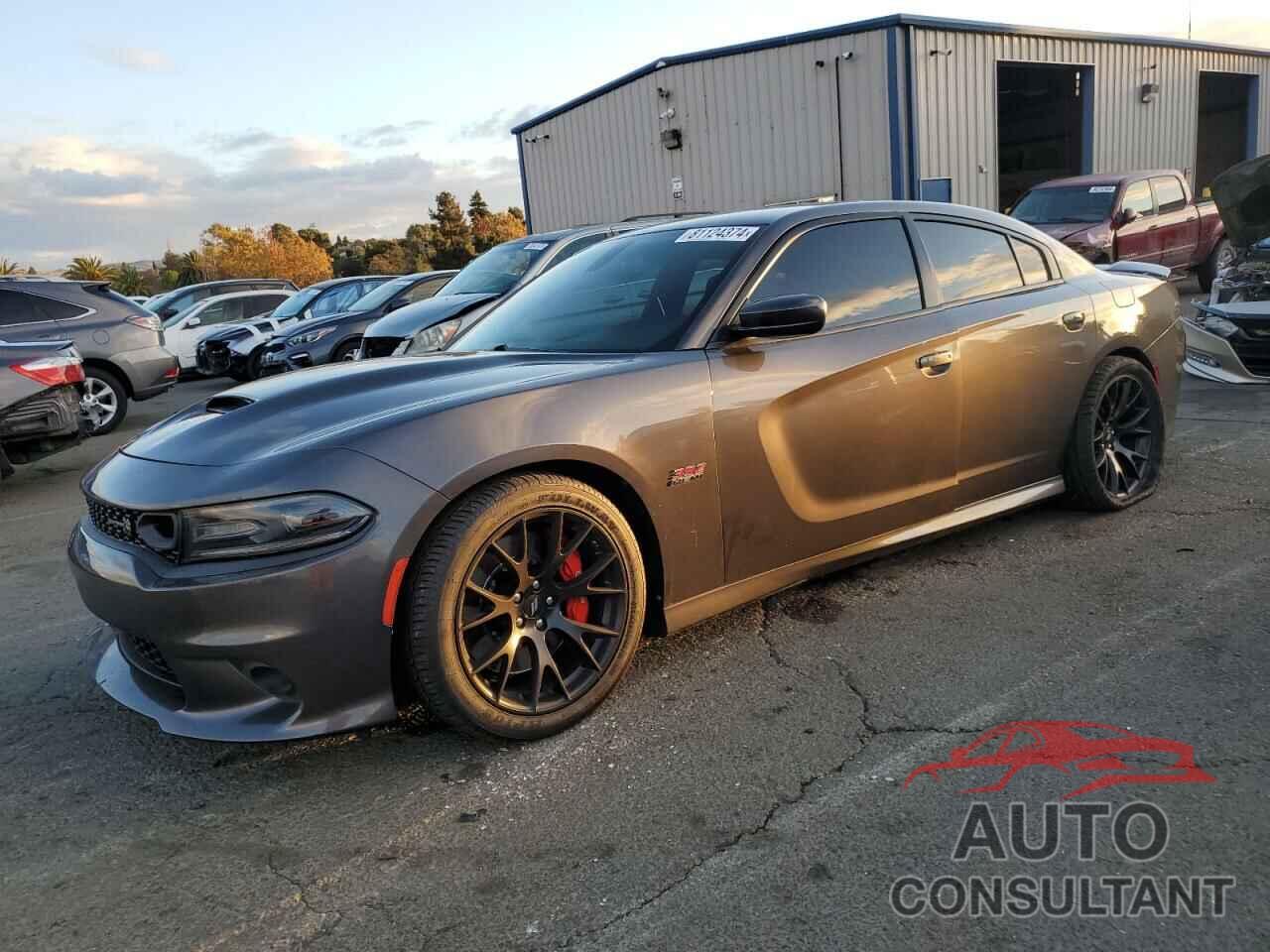 DODGE CHARGER 2019 - 2C3CDXGJ8KH742643