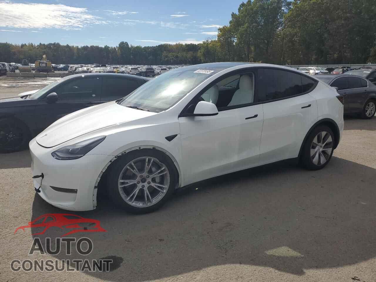 TESLA MODEL Y 2024 - 7SAYGAEEXRF981884