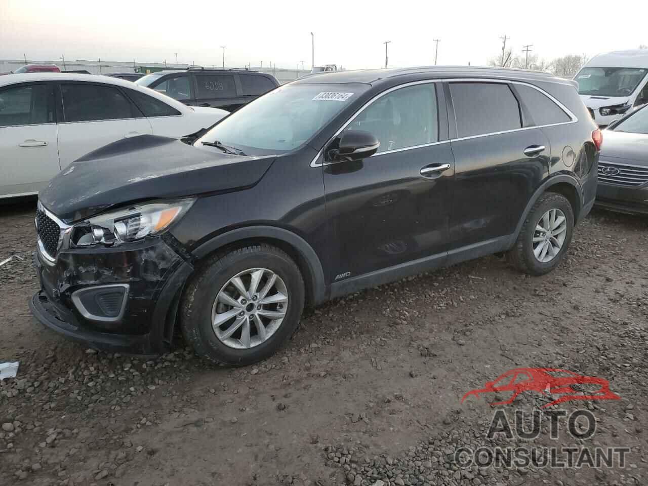 KIA SORENTO 2017 - 5XYPGDA52HG190613