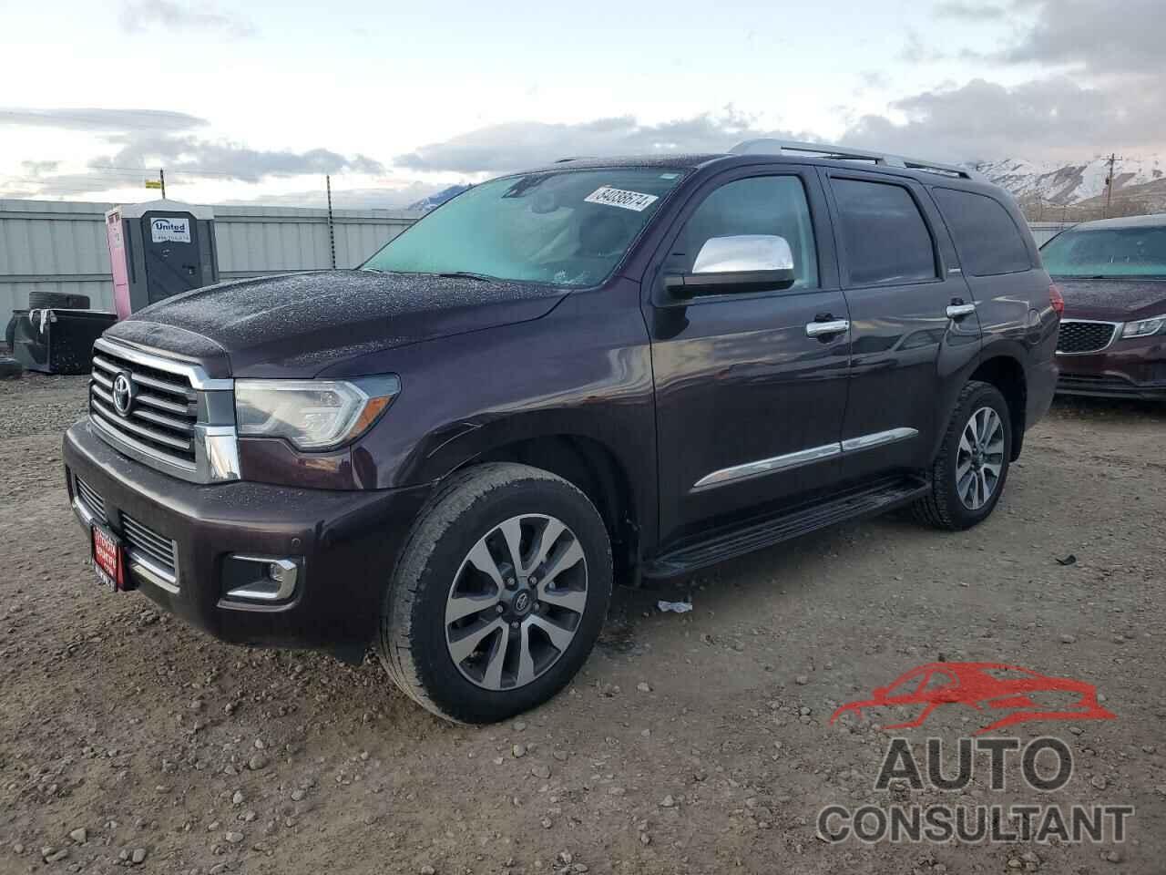 TOYOTA SEQUOIA 2019 - 5TDJY5G17KS172230