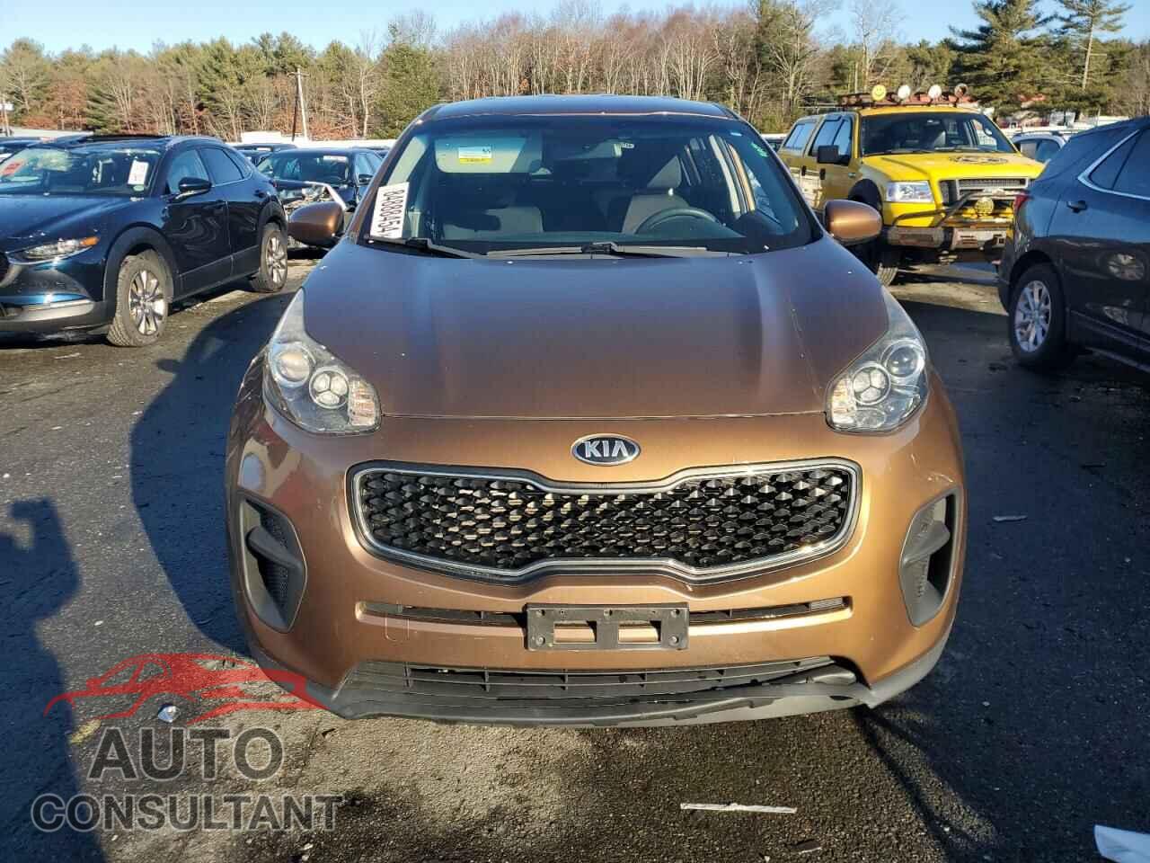 KIA SPORTAGE 2017 - KNDPM3AC1H7157407