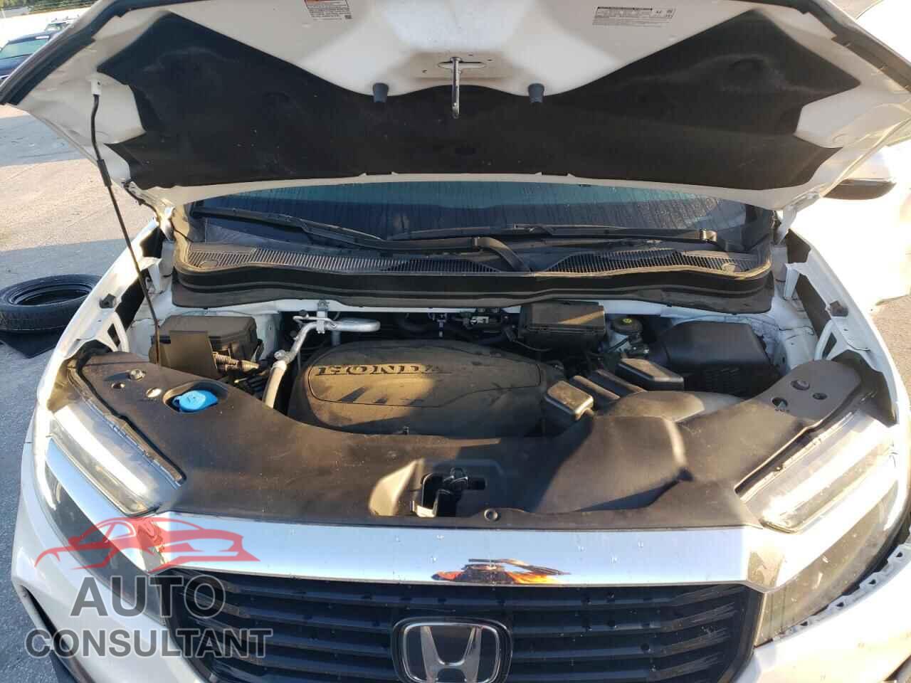 HONDA RIDGELINE 2021 - 5FPYK3F79MB006669
