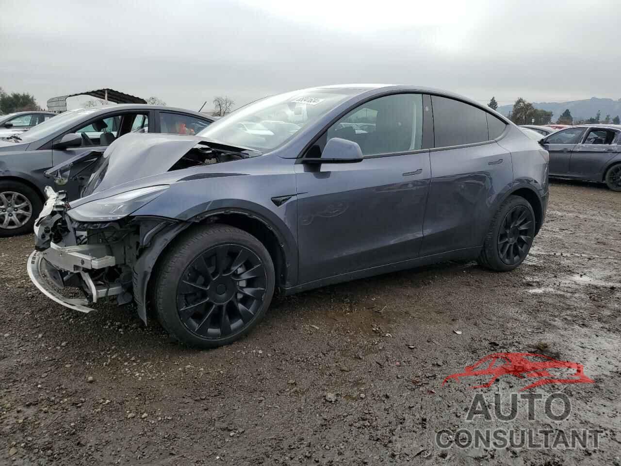 TESLA MODEL Y 2023 - 7SAYGDEE9PF911310