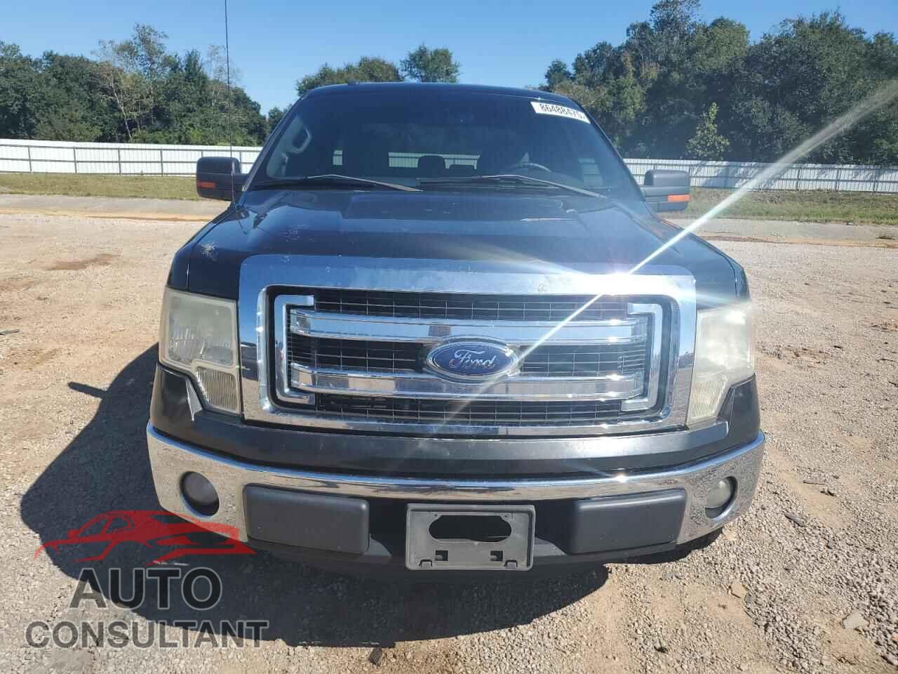 FORD F-150 2013 - 1FTFX1CF5DFB96130