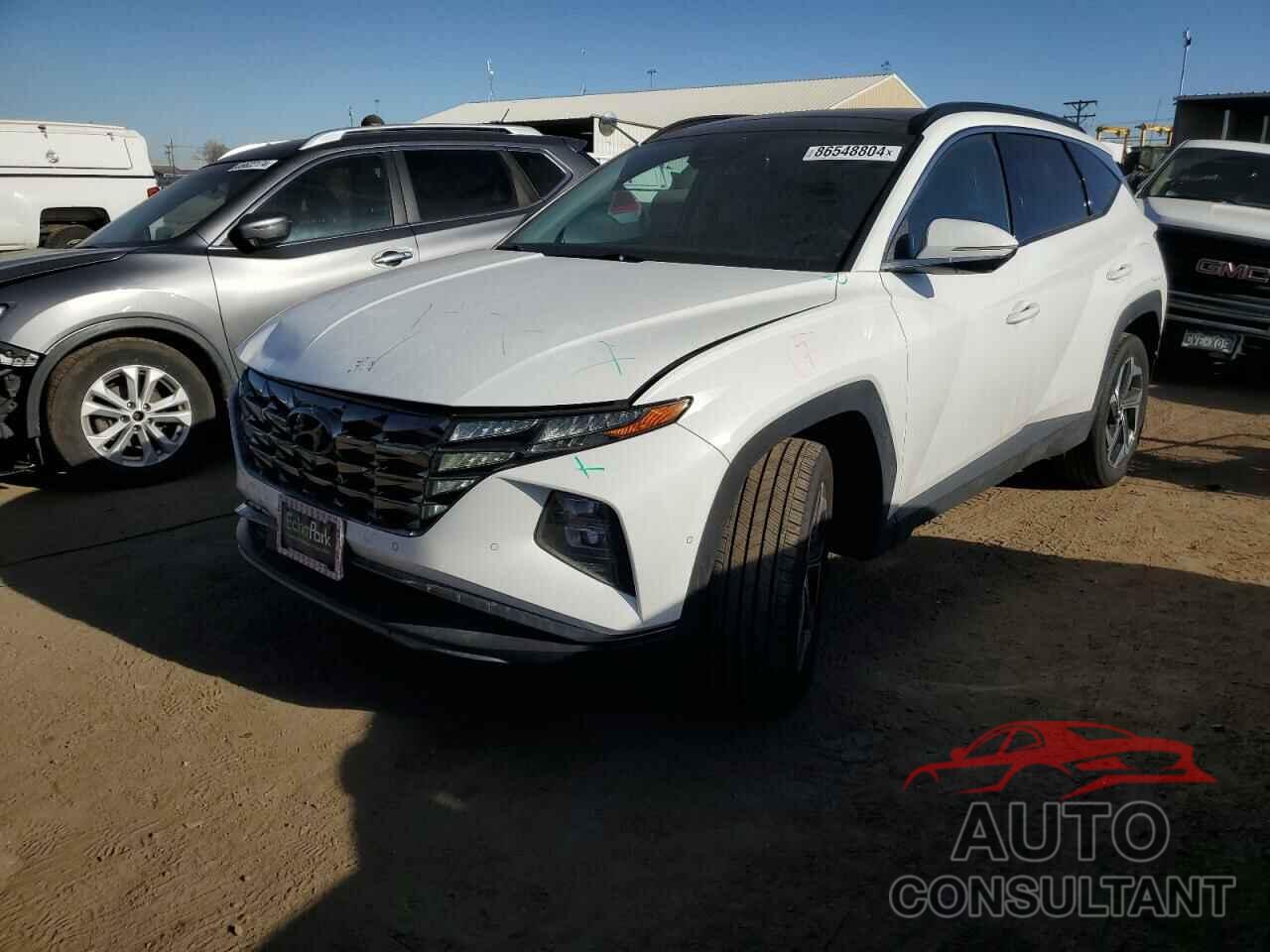 HYUNDAI TUCSON 2023 - 5NMJECAE9PH211130