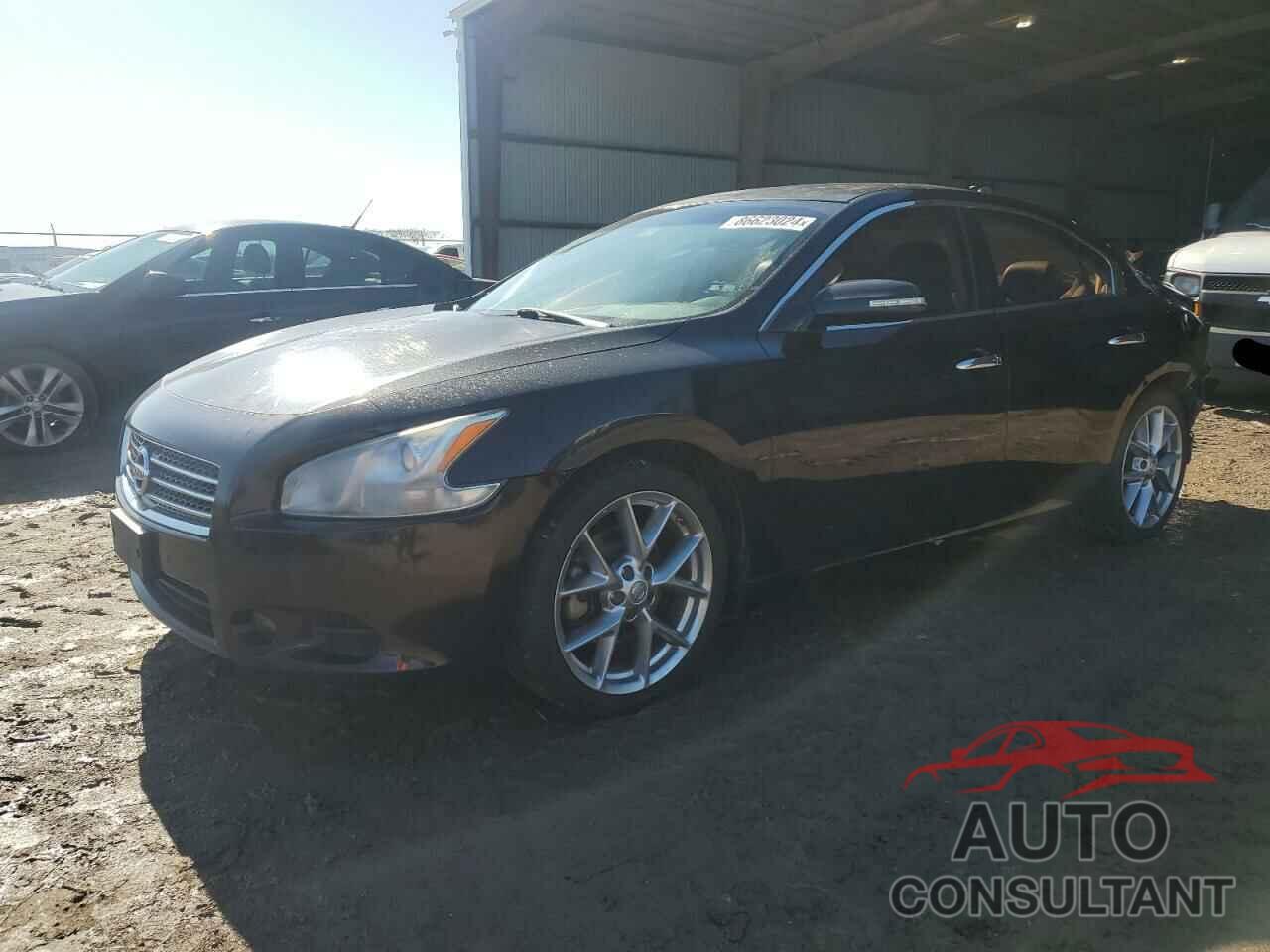 NISSAN MAXIMA 2010 - 1N4AA5AP0AC825987