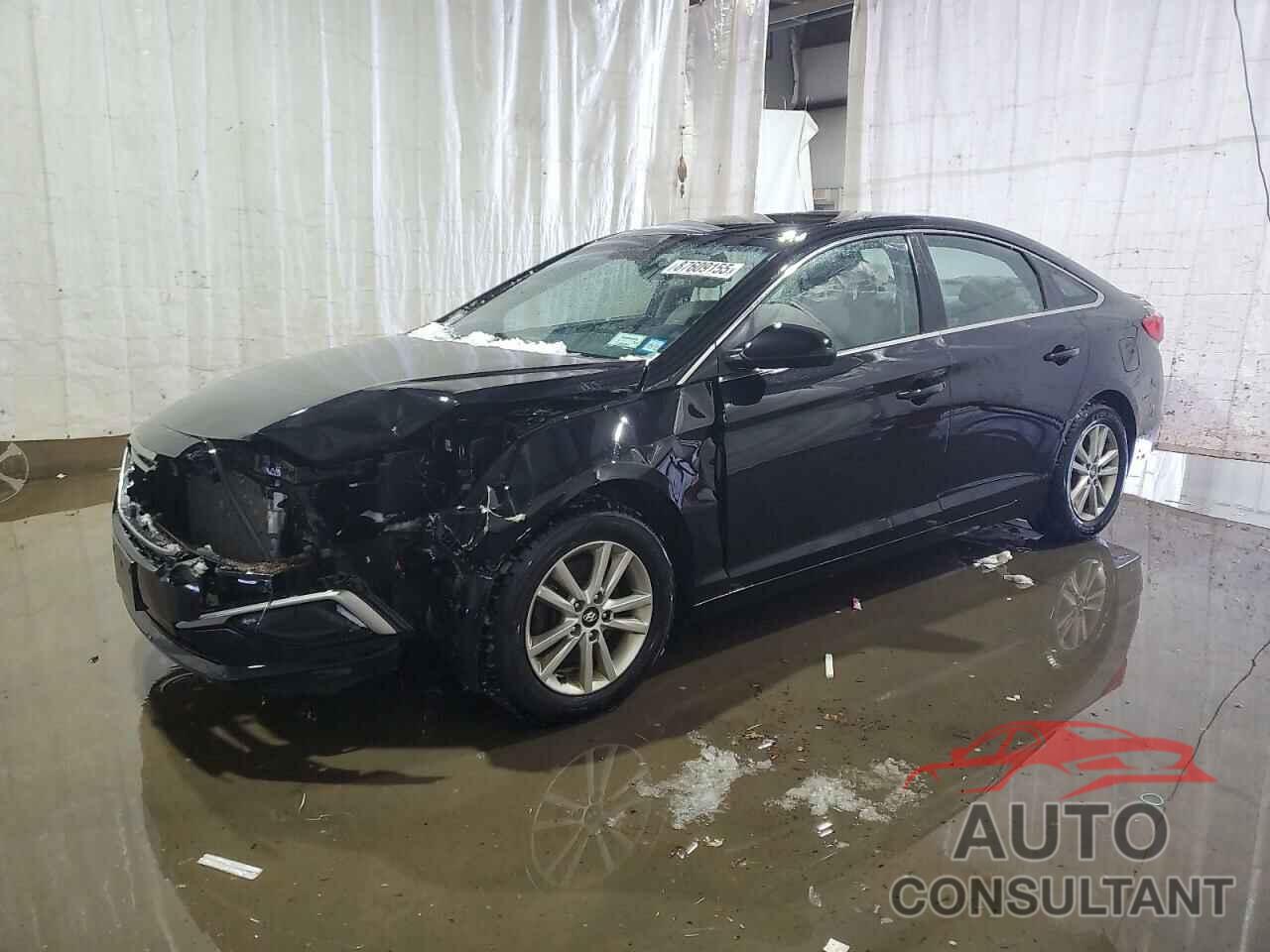 HYUNDAI SONATA 2017 - 5NPE24AF4HH567045