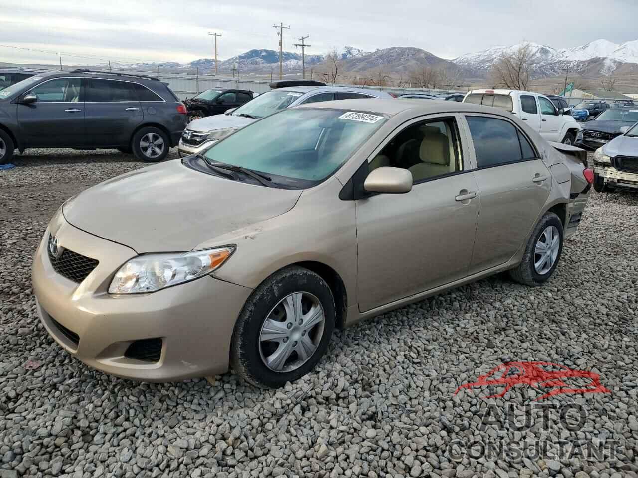 TOYOTA COROLLA 2010 - 2T1BU4EE0AC295312