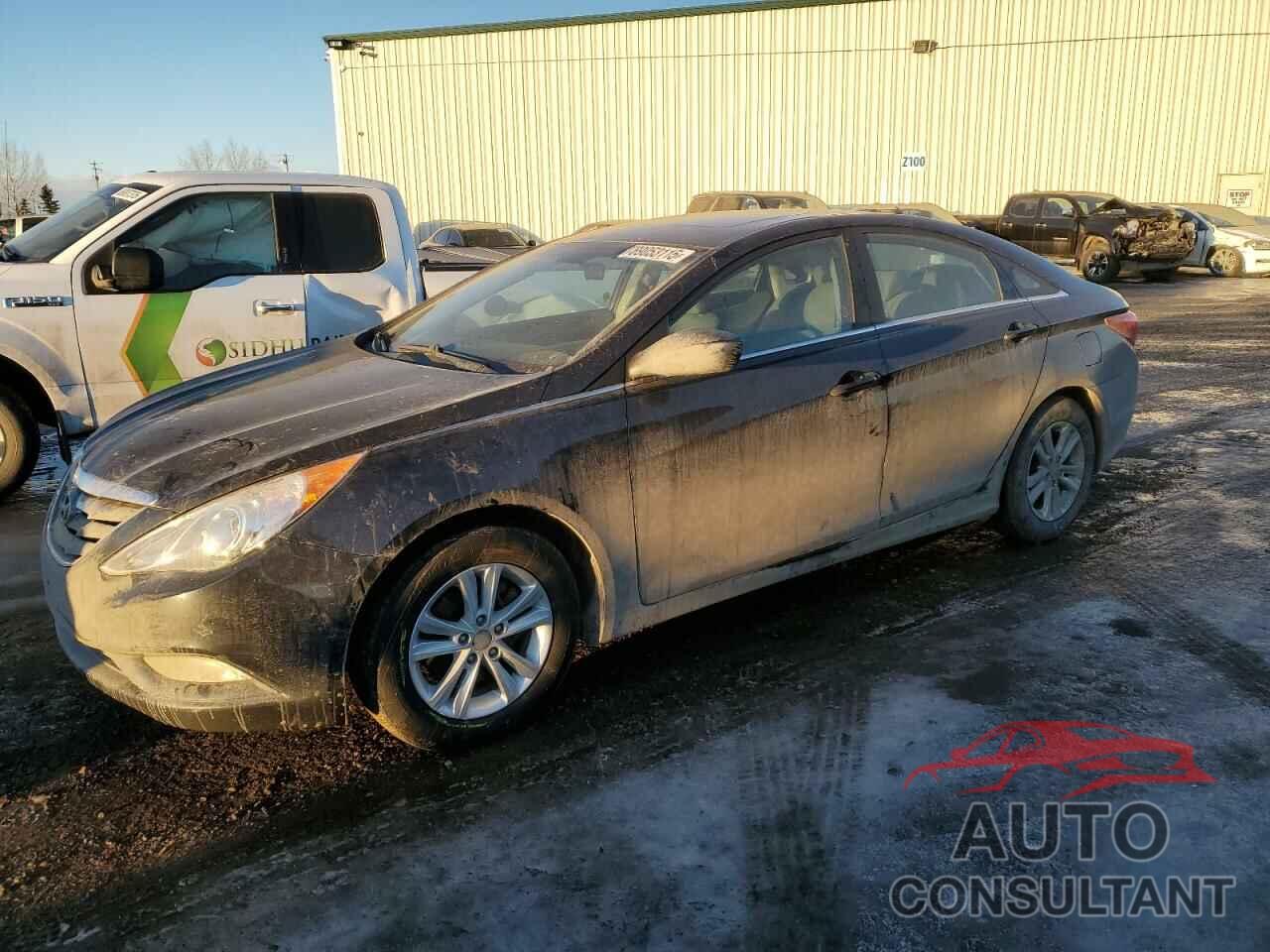 HYUNDAI SONATA 2013 - 5NPEB4AC3DH789852