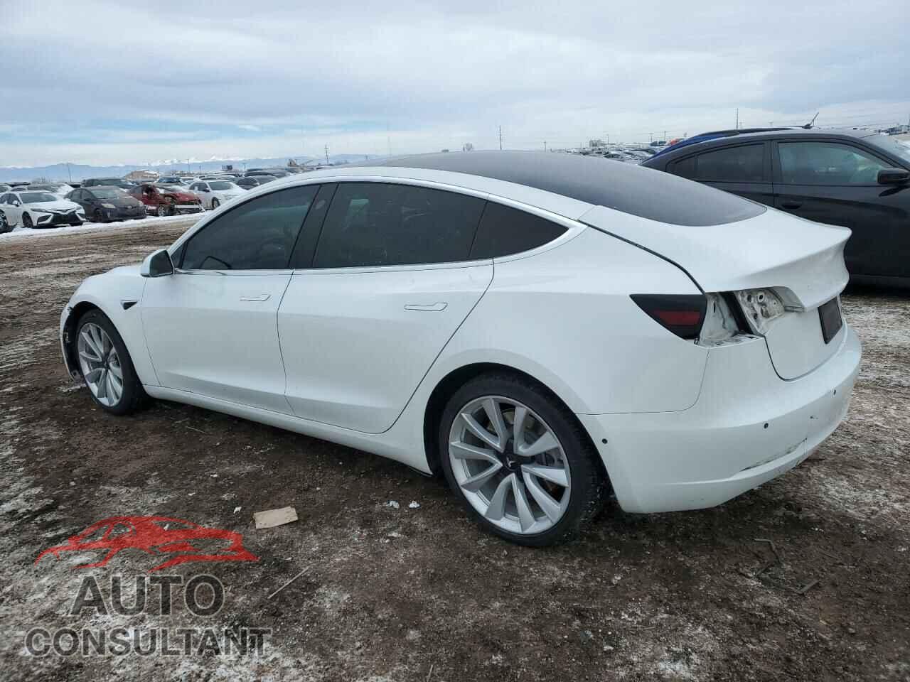 TESLA MODEL 3 2019 - 5YJ3E1EB0KF390195