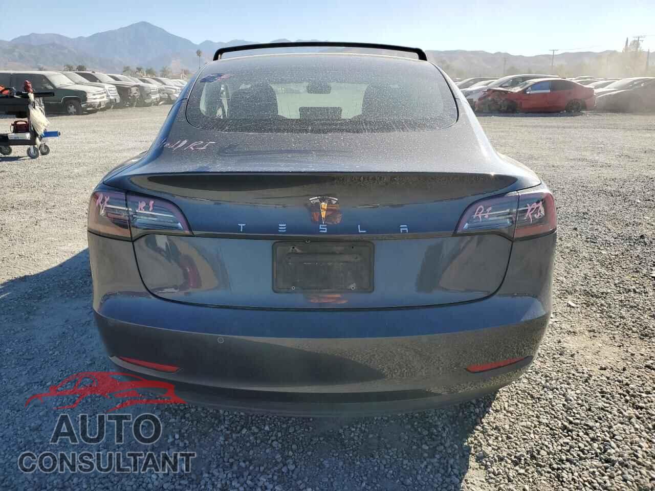 TESLA MODEL 3 2019 - 5YJ3E1EA1KF307235