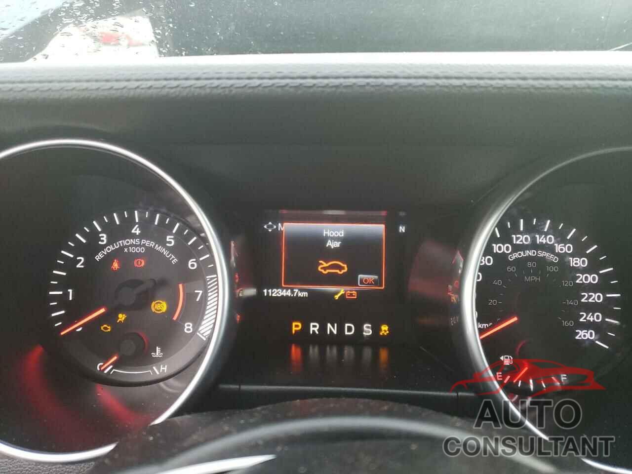FORD ALL Models 2019 - 1FA6P8TH6K5154892