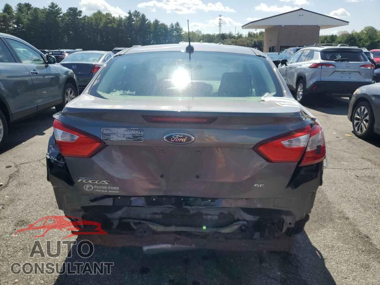 FORD FOCUS 2013 - 1FADP3F20DL317021