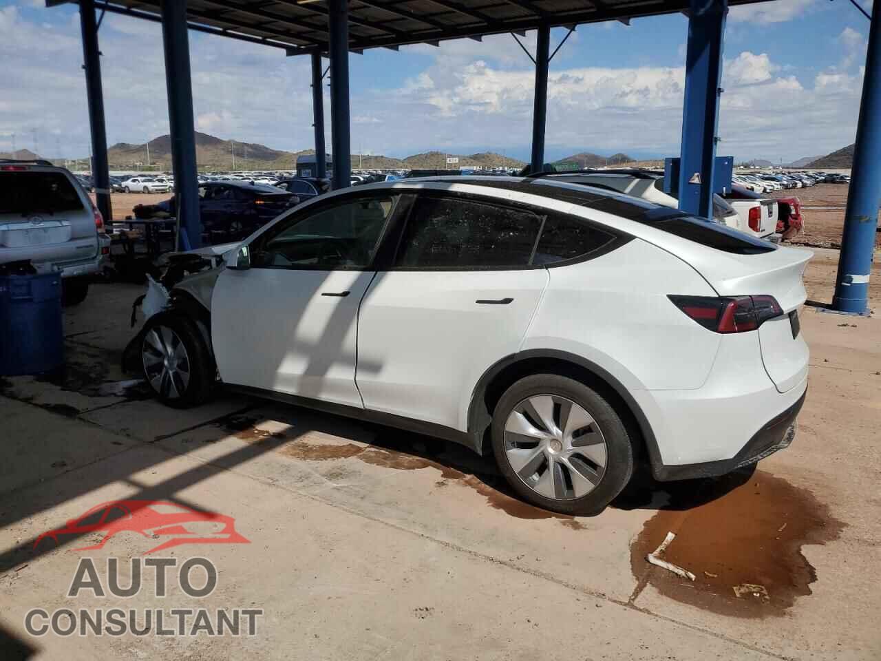 TESLA MODEL Y 2023 - 7SAYGDEE8PA116844