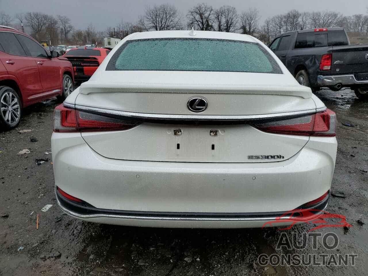 LEXUS ES300 2022 - 58AEA1C15NU020262