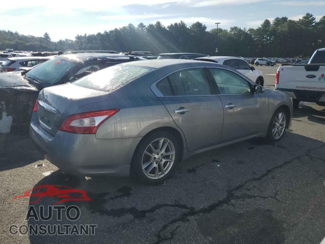 NISSAN MAXIMA 2009 - 1N4AA51E79C856485