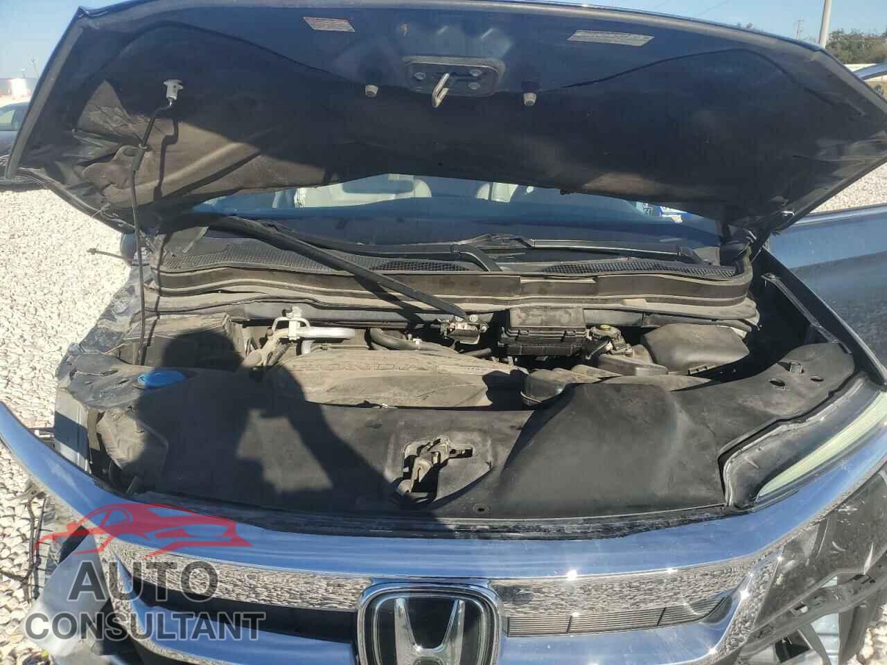 HONDA PILOT 2019 - 5FNYF5H55KB021185
