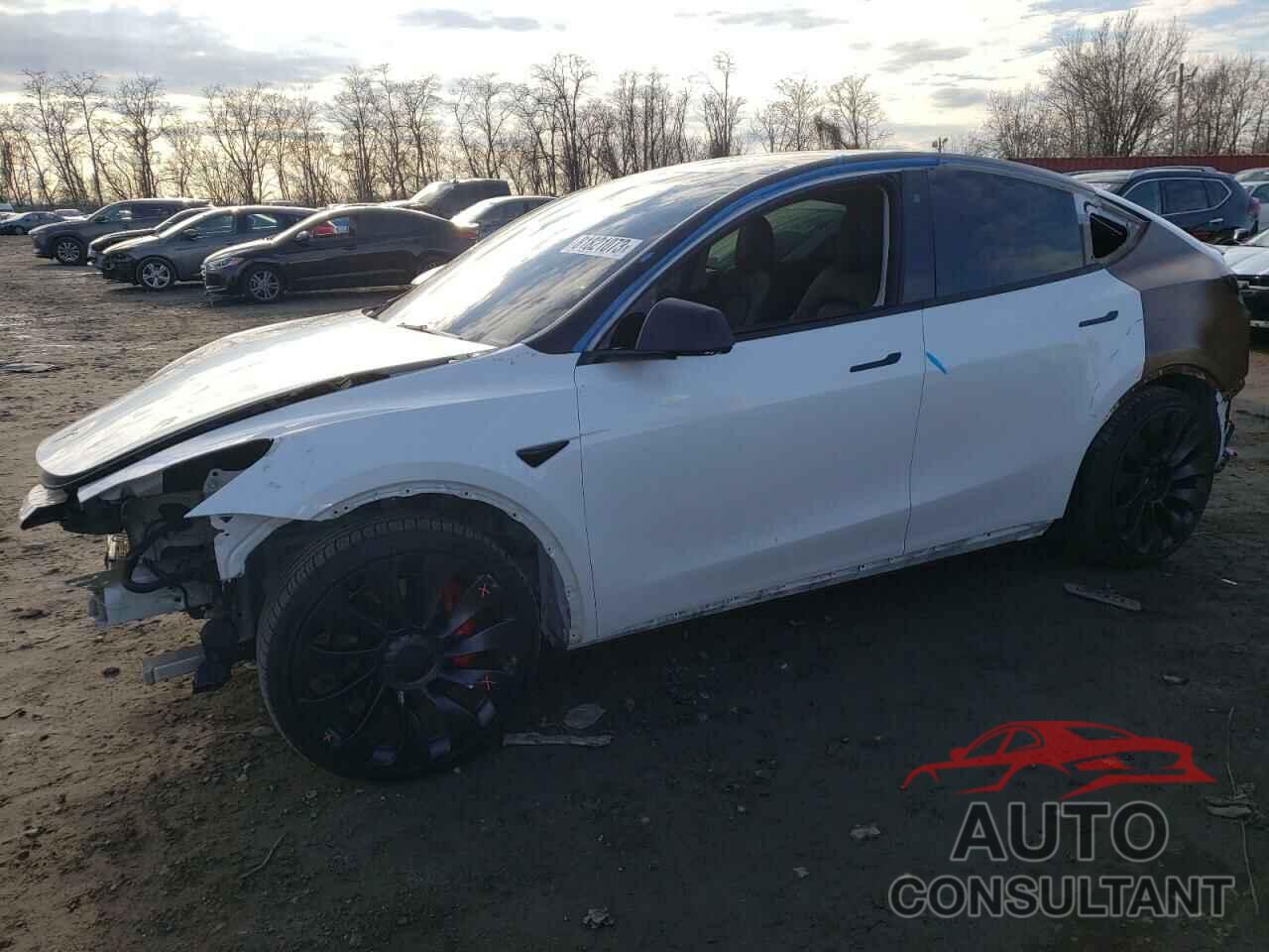 TESLA MODEL Y 2022 - 7SAYGDEF1NF522375