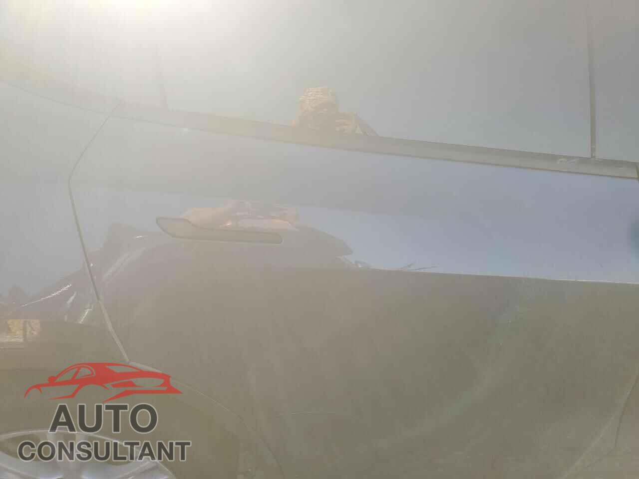 TESLA MODEL Y 2023 - 7SAYGDEEXPF689599