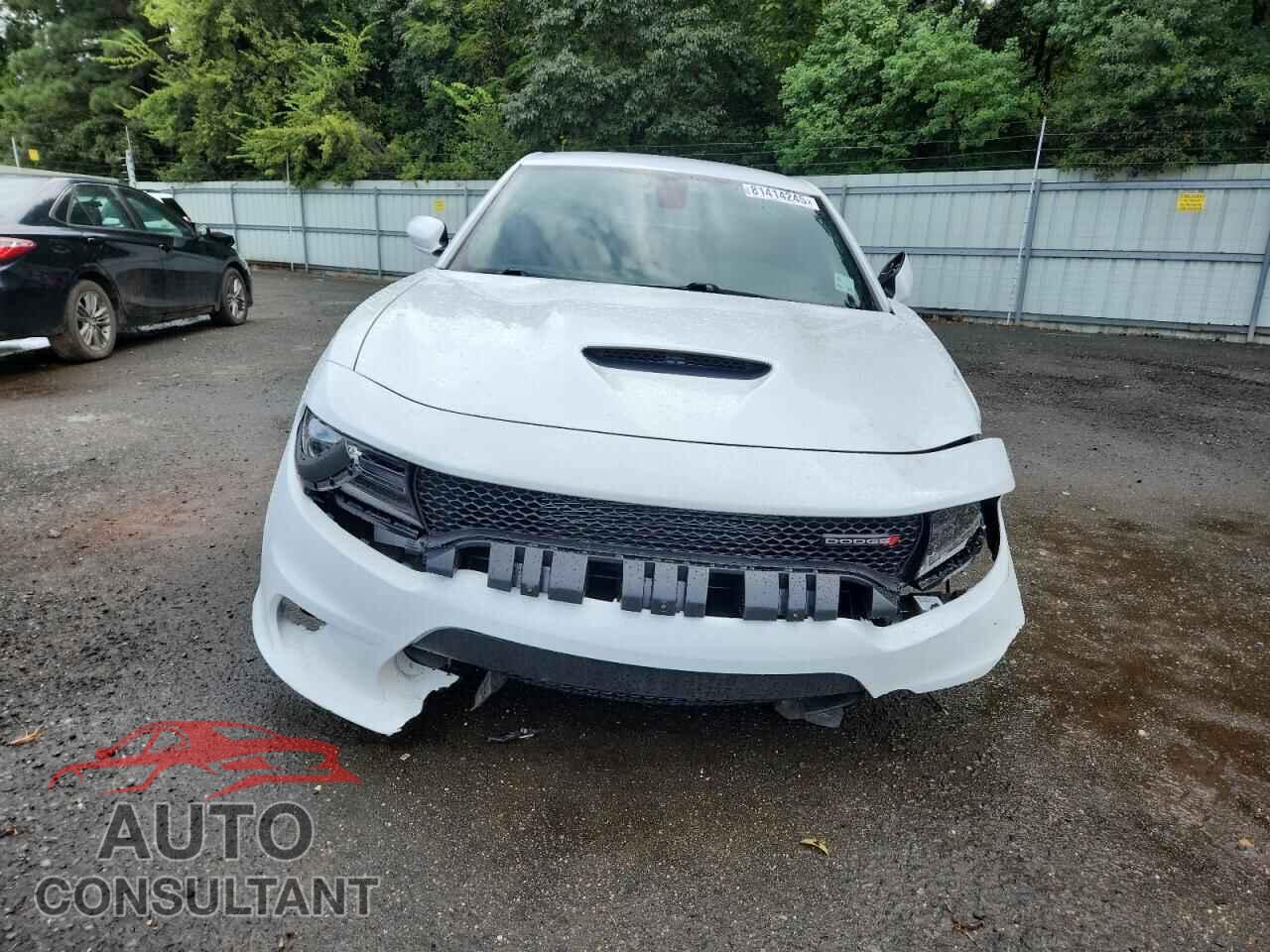 DODGE CHARGER 2019 - 2C3CDXHG7KH565599