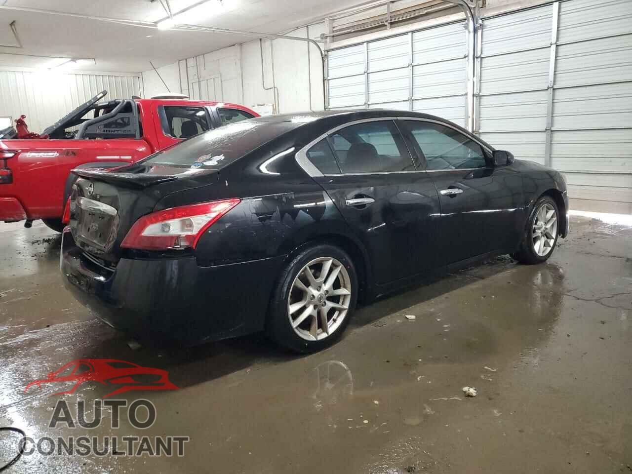 NISSAN MAXIMA 2009 - 1N4AA51E99C817896