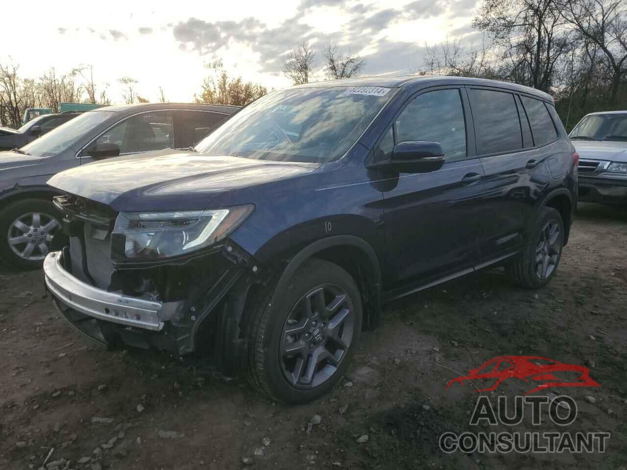 HONDA PASSPORT 2023 - 5FNYF8H55PB041820