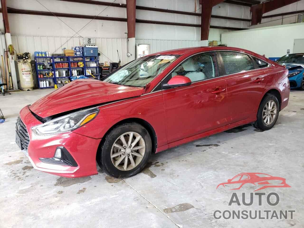 HYUNDAI SONATA 2019 - 5NPE24AF7KH742539