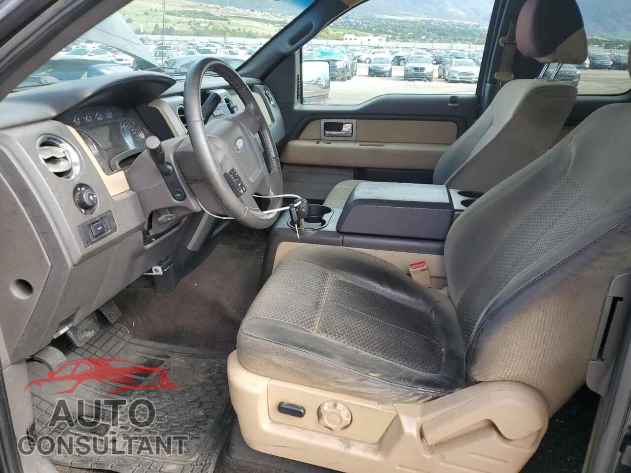 FORD F-150 2011 - 1FTFX1EF9BFC31486