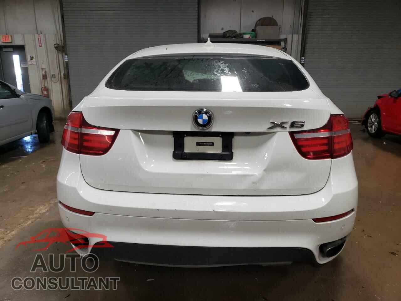 BMW X6 2013 - 5UXFG8C53DL591536