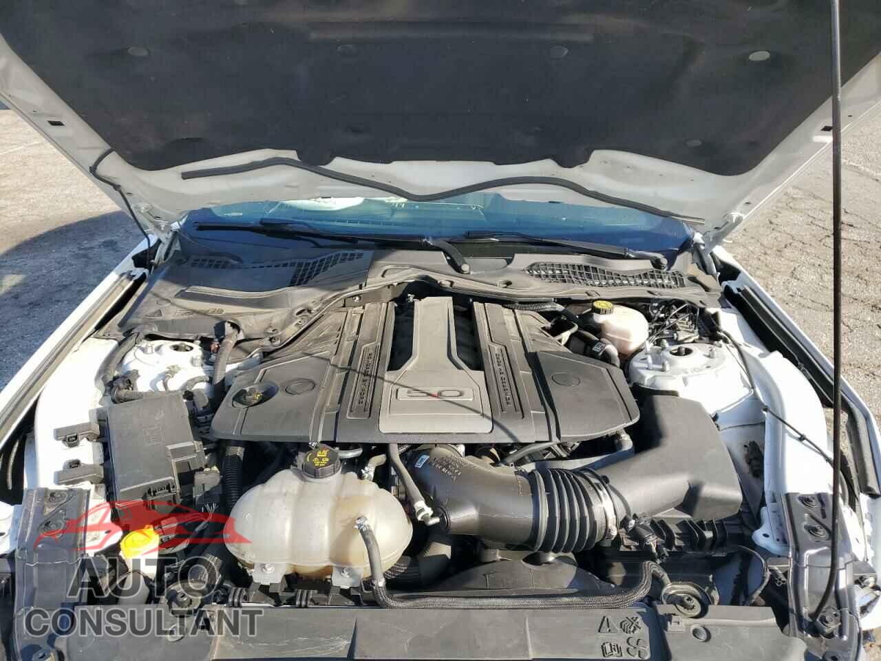 FORD MUSTANG 2019 - 1FA6P8CF6K5123446